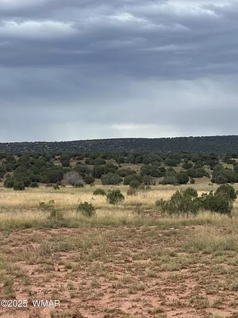 tbd N8485, Concho, AZ 85924 photo 14