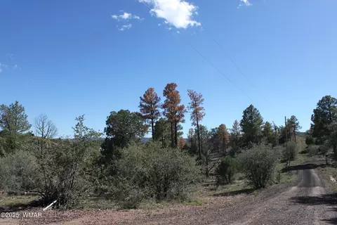 1663 Cactus Flower Rd, Show Low, AZ 85901