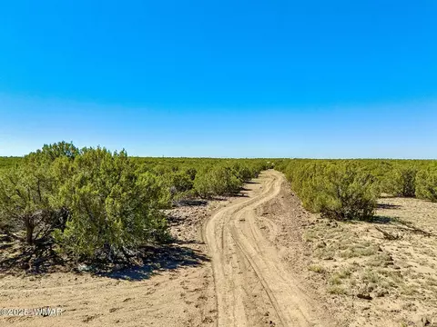 132 Co Rd 8061 126 Acres, Concho, AZ 85924