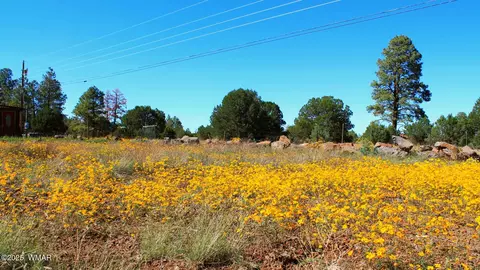 2966 Johnson St, Lakeside, AZ 85929