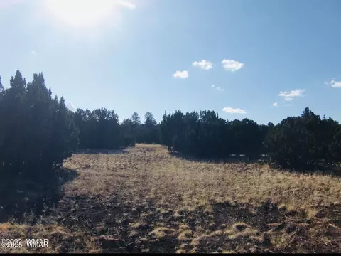 tbd 106-39-007n, Vernon, AZ 85940