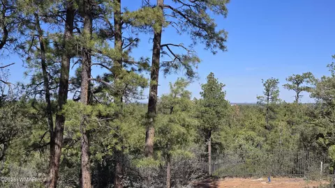 440 E Stoneridge Cir, Show Low, AZ 85901
