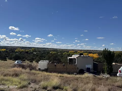 12 5082 Rd, Concho, AZ 85924 photo 11