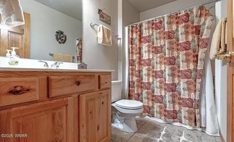 Bath - 2718 Bain Trl, Overgaard, AZ 85933 photo 2 of 2