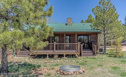 Exterior - 2718 Bain Trl, Overgaard, AZ 85933 photo 2 of 2