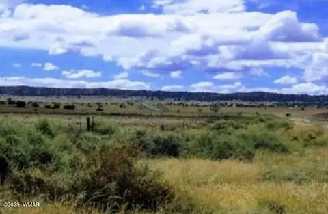 tbd Bell Brand Rnch #LOT 115, Sanders, AZ 86512
