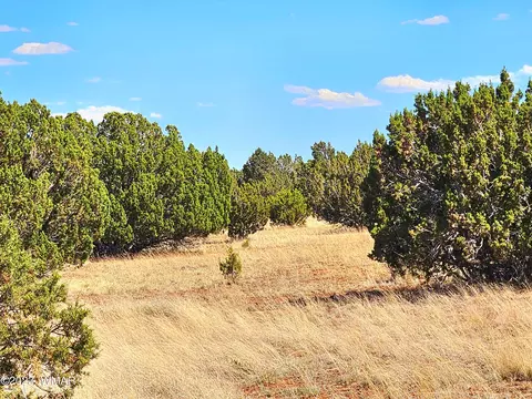 20 Co Rd, Concho, AZ 85924