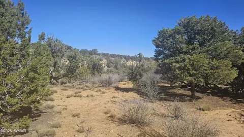 4 County Rd, Concho, AZ 85924 photo 26
