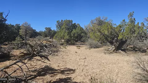 4 County Rd, Concho, AZ 85924 photo 22