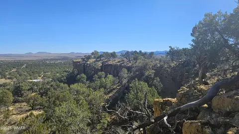 4 County Rd, Concho, AZ 85924 photo 10
