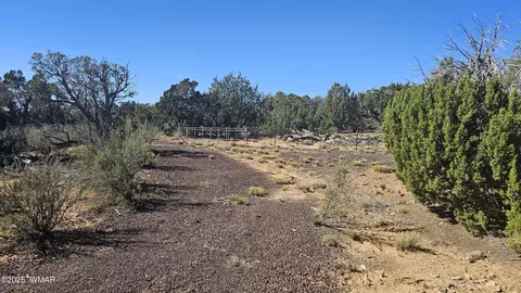 4 County Rd, Concho, AZ 85924 photo 5