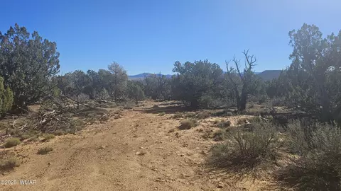 4 County Rd, Concho, AZ 85924 photo 27