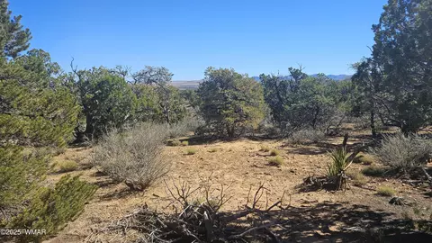 4 County Rd, Concho, AZ 85924 photo 21