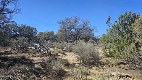 4 County Rd, Concho, AZ 85924 photo 19