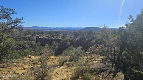 4 County Rd, Concho, AZ 85924 photo 17