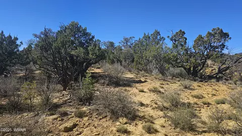 4 County Rd, Concho, AZ 85924 photo 18