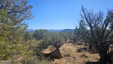 4 County Rd, Concho, AZ 85924 photo 6