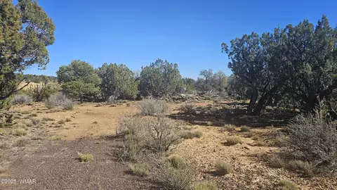 4 County Rd, Concho, AZ 85924 photo 28