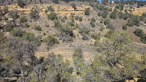 4 County Rd, Concho, AZ 85924 photo 15