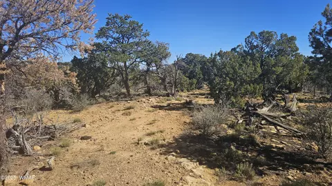 4 County Rd, Concho, AZ 85924 photo 25
