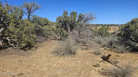 4 County Rd, Concho, AZ 85924 photo 23