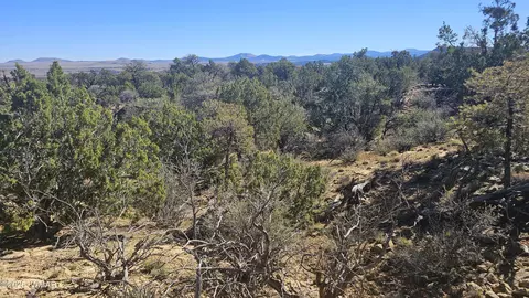 4 County Rd, Concho, AZ 85924 photo 4