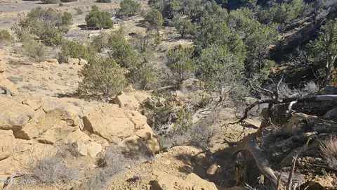 4 County Rd, Concho, AZ 85924 photo 8