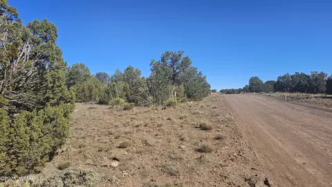 9 N3133, Vernon, AZ 85940