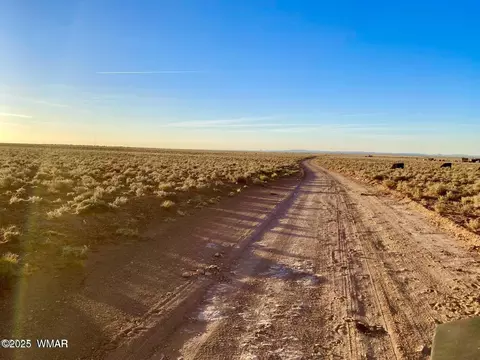 tbd Hodges Ln 3905 Acres, Holbrook, AZ 86025