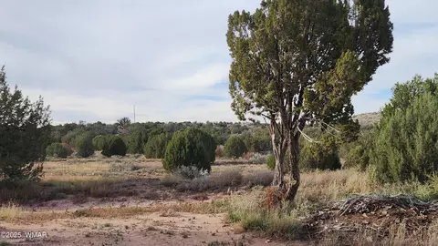 tbd W Shumway Rd, Taylor, AZ 85939