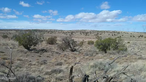 5280 Concho Ocho Rd, Snowflake, AZ 85937