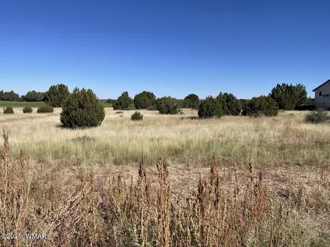 1951 Creekside Cir, Show Low, AZ 85901