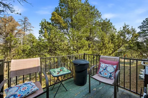 3144 Tonto Dr, Overgaard, AZ 85933 photo 24