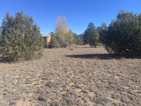 2287 Meadow Ln, Overgaard, AZ 85933