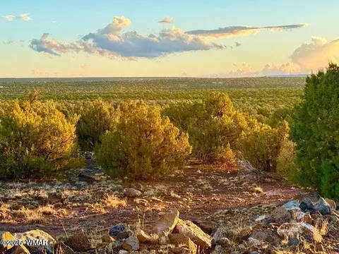 tbd Weber Rd Lots B C 10 Acres, Show Low, AZ 85901