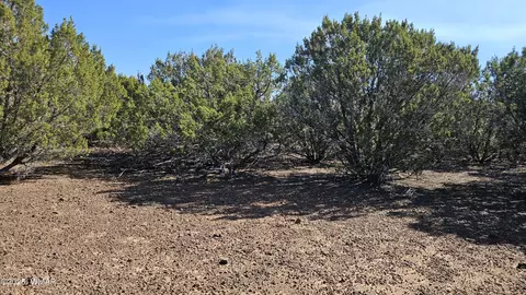 41 Acr 3119, Vernon, AZ 85940