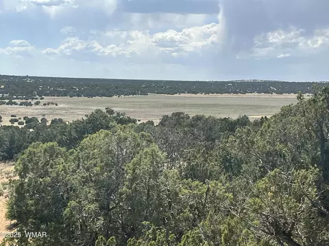 lot122 123, Concho, AZ 85924