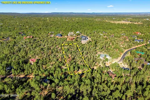 1920 S Pleasant View Dr, Show Low, AZ 85901