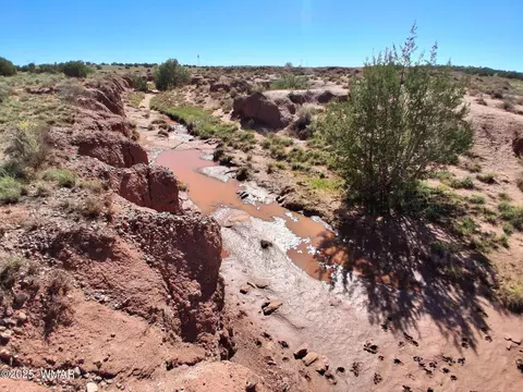 236 N9233 SE, Concho, AZ 85924 photo 3
