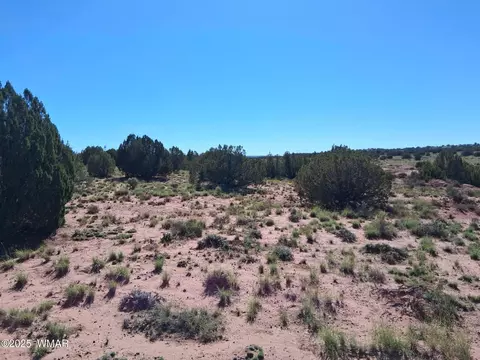 236 N9233 SE, Concho, AZ 85924 photo 2