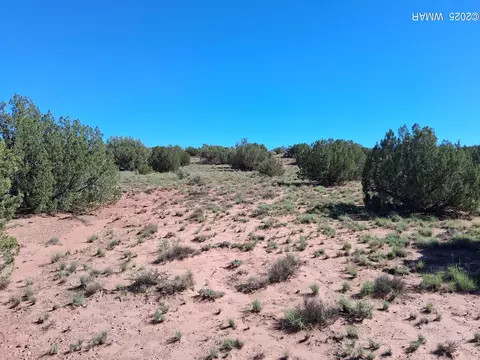 Sw236 N9233, Concho, AZ 85924