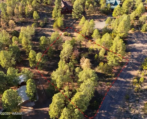 2974 Lookout Ln, Overgaard, AZ 85933