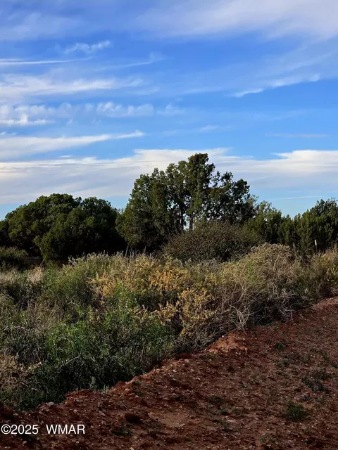 4360 E 4366 E Pinto Rd, Snowflake, AZ 85937