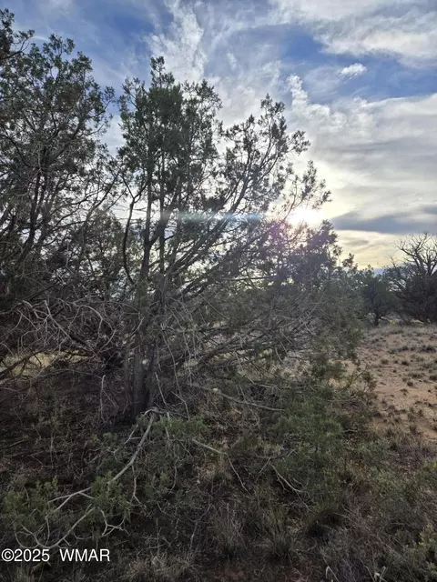4360 E 4366 E Pinto Rd, Snowflake, AZ 85937 photo 6
