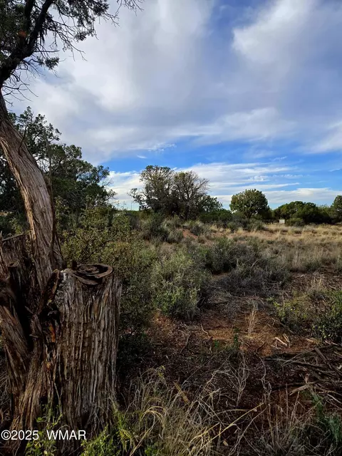 4360 E 4366 E Pinto Rd, Snowflake, AZ 85937 photo 5