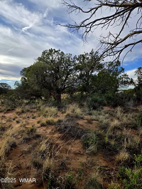 4360 E 4366 E Pinto Rd, Snowflake, AZ 85937 photo 8