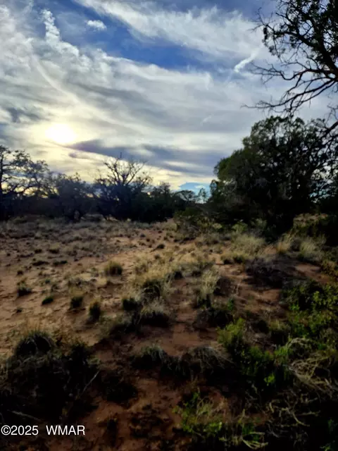 4360 E 4366 E Pinto Rd, Snowflake, AZ 85937 photo 3