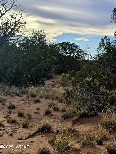 4360 E 4366 E Pinto Rd, Snowflake, AZ 85937 photo 7