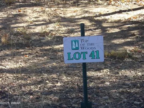 2553 Willow Way #41, Lakeside, AZ 85929