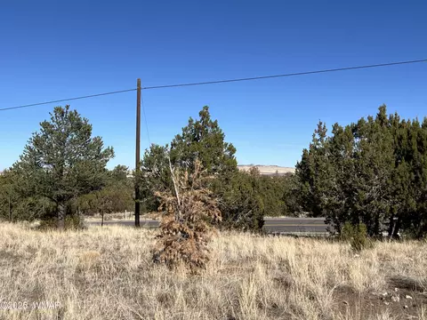 tbd State Highway 261, Eagar, AZ 85925 photo 6